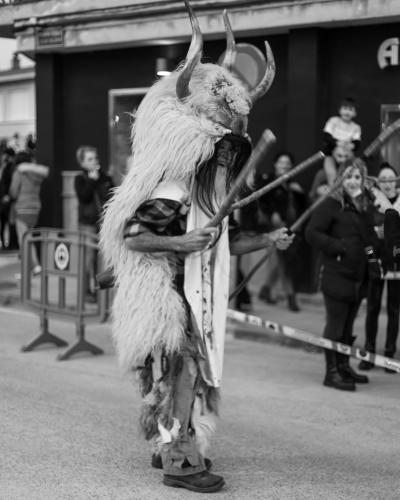 Carnavales de Alsasua